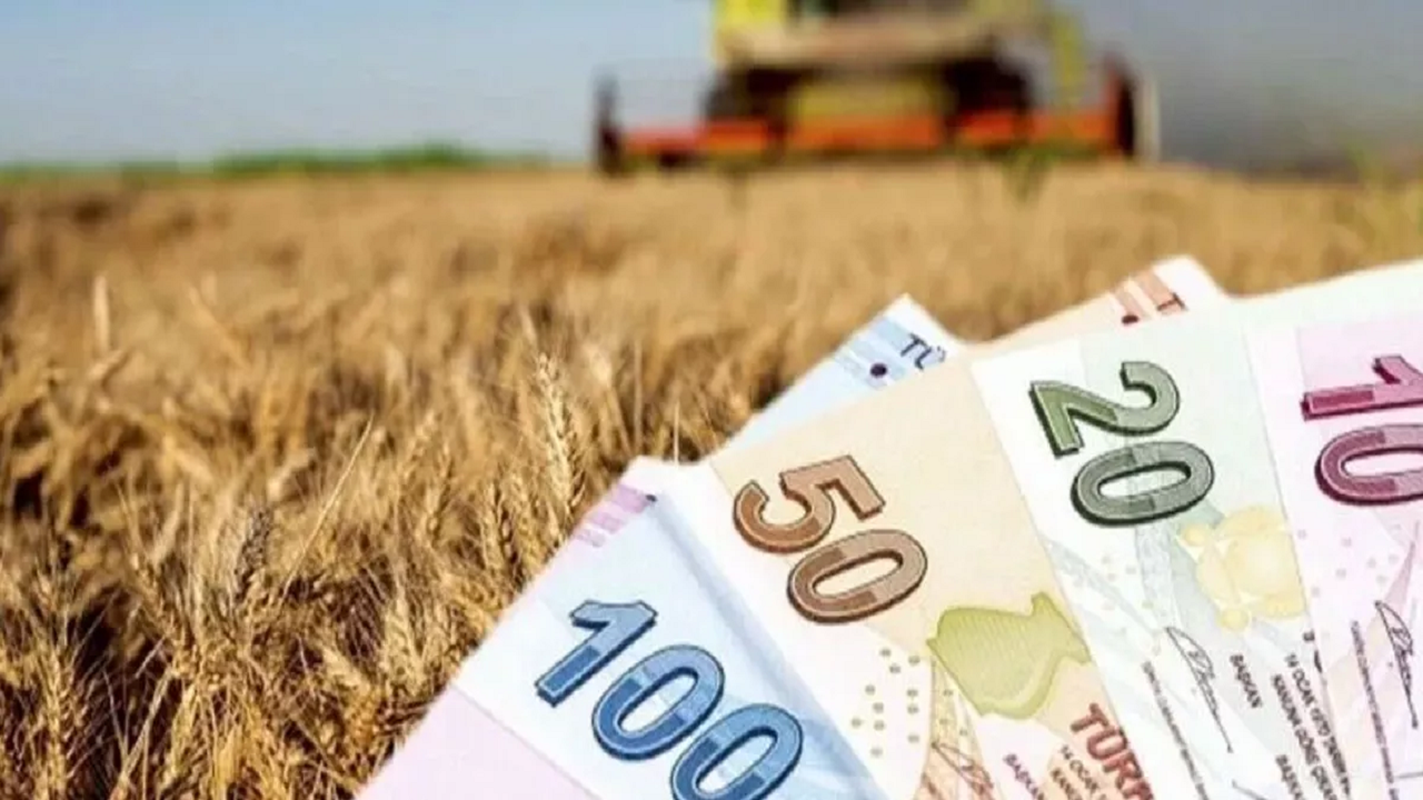 Çiftçinin gözü aydın! Beklenen destek ödemelerinin ne zaman hesaba geçeceğini Tarım ve Orman Bakanlığı açıkladı! Tam 513 milyon TL ayrıldı!