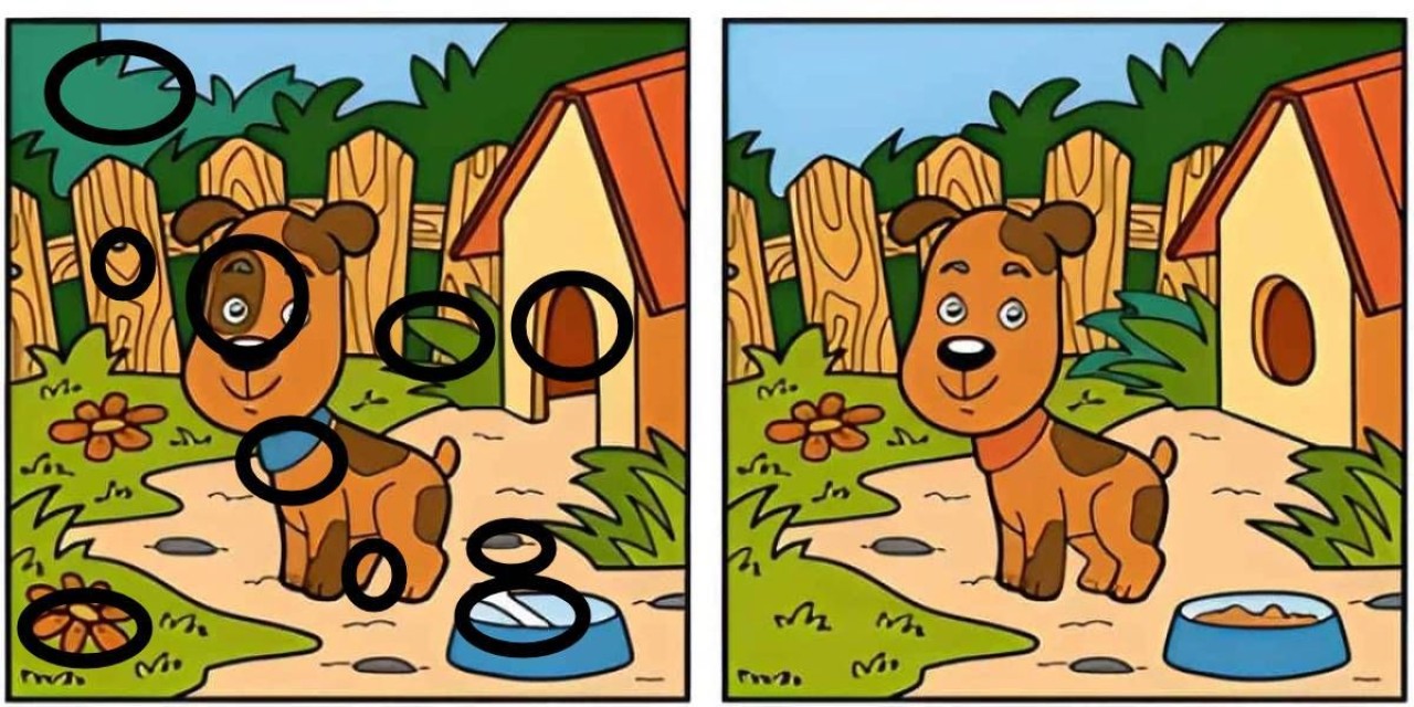 Dahiler tek bakışta fark ediyor! 2 resim arasındaki tüm farkları 30 saniyede bulabilenlerin IQ'su en az 140 Kendini test etmeye hazır mısın? 3