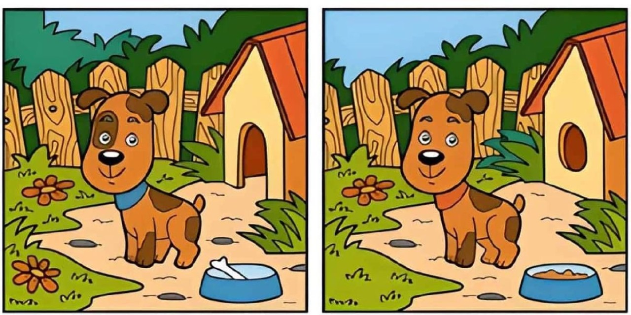 Dahiler tek bakışta fark ediyor! 2 resim arasındaki tüm farkları 30 saniyede bulabilenlerin IQ'su en az 140 Kendini test etmeye hazır mısın? 2