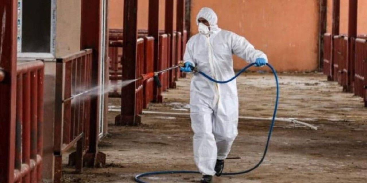 İllerimizde dehşet: Afrika'dan gelen virüs o hastalığın yayılmasına sebep oldu! 363 köy karantinaya alındı! Köylere giriş ve çıkışlar geçici olarak yasaklandı 3