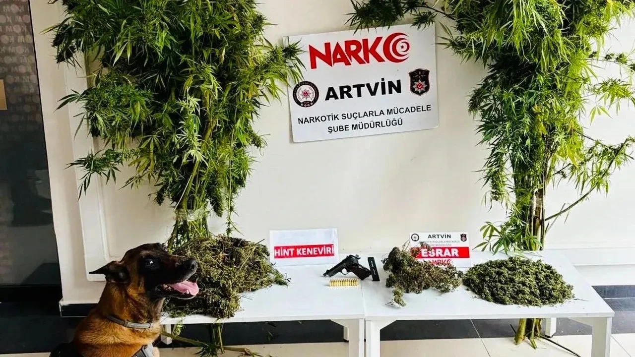 Artvin'de 1 Kilo 151 Gram Esrar Ele Geçirildi