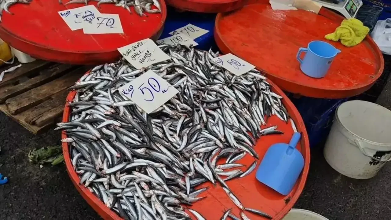 Hamsi Fiyatları Düştü: “Sigaradan Ucuz Hamsi”