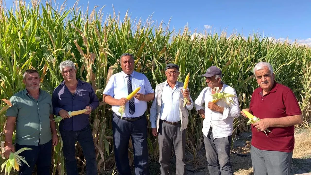 Ömer Fethi Gürer: Cumhurbaşkanı Kararı Mısır Üreticisine Darbedir