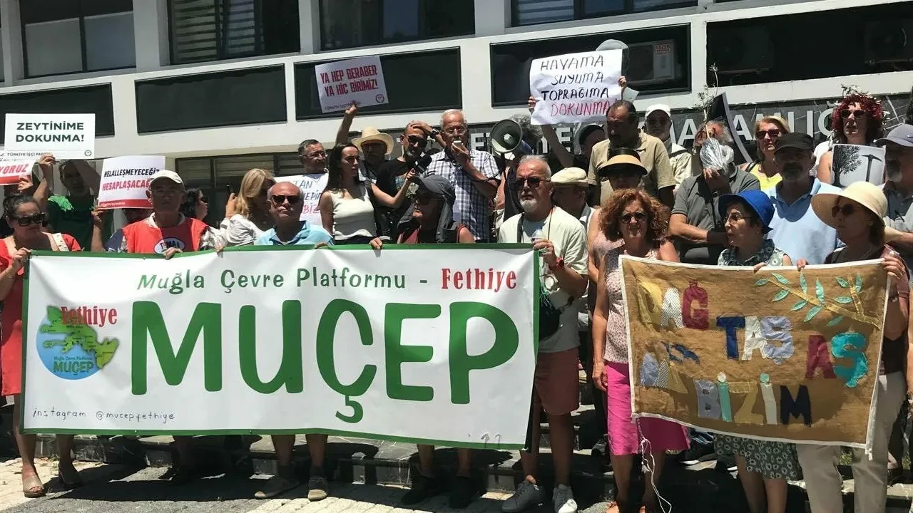 Muğla'da Zeytinlik Yasasına Tepki