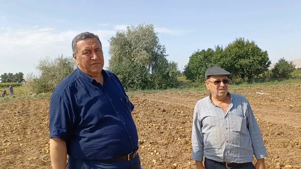 Patates Tarlasında Kriz Derinleşiyor! Ömer Fethi Gürer: Tarlada Ziyan, Çiftçide İsyan