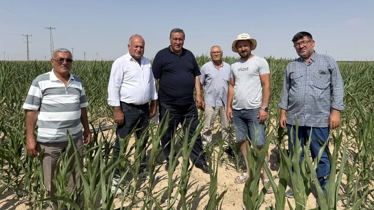 CHP Niğde Milletvekili Ömer Fethi Gürer Mısır Üreticilerini Dinledi: İthalat Darbesi Üretimi Vuruyor