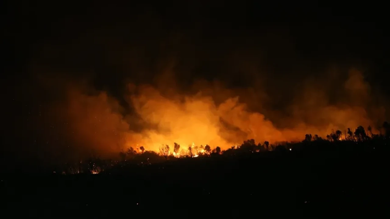 Bursa'da Çıkan Orman Yangını Kısmen Kontrol Altına Alındı