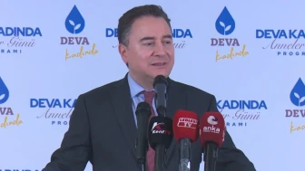 Ali Babacan’dan Anneler Günü Mesajı