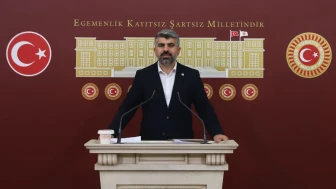 Faruk Dinç Başıboş Köpek Sorununu Meclis’e Taşıdı