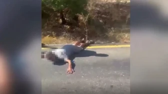 12 Yıllık Sırrı DNA Çözdü