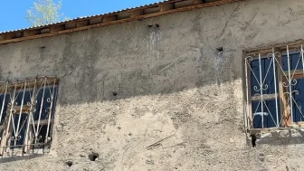 Evin Her Yerinden Fışkırıyorlar