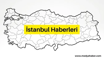 İstanbul'da Viyadük Ayağında Mahsur Kalan Keçi Kurtarıldı