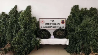 İzmir Kiraz'da Yasaklı Madde Operasyonu