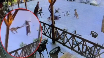Köpeğin Saldırdığı Kadın Ölümden Döndü