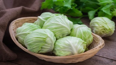 Tam bir vitamin deposu çıktı! Kışın sofranızdan eksik etmemeniz gereken ürün belli oldu! Salatası,  turşusu,  yemeği… Hepsi yapılabiliyor!