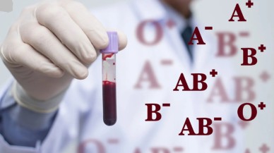 IQ’su en yüksek kan grubu belli oldu! Sizin kan grubunuz hangisi? İşte en zeki kan grubu…