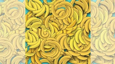 Muzların arasındaki gizli yılanı 4 saniyede bulabilir misin? Sadece dahi olanlar bulabiliyor! 5 gündür bulan çıkmadı