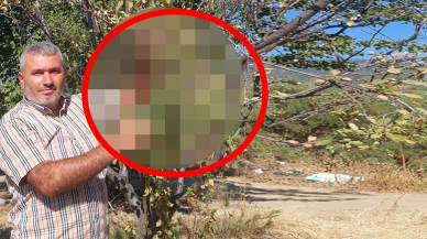 Kıyamet alameti gibi olay yaşandı: Manisa’da erik ağacı sonbaharda çiçek açtı: İklim Değişikliğinin Göstergesi mi?