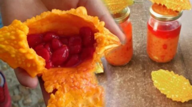 Kudret Narının faydalarını biliyor musunuz? Zeytinyağı ile birlikte tüketmeniz gereken şifalı bitki..