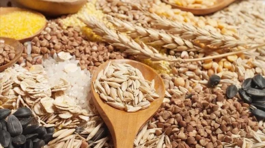 Güneydoğu’dan 2 Milyar Dolarlık Hububat İhracatı