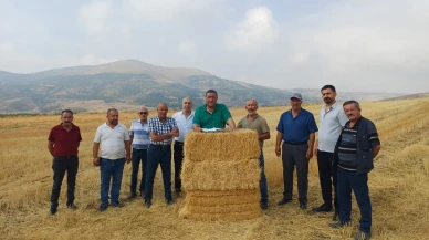 Ömer Fethi Gürer: Buğday ve Arpa Alım Fiyatı Çiftçinin Yüzünü Güldürmedi