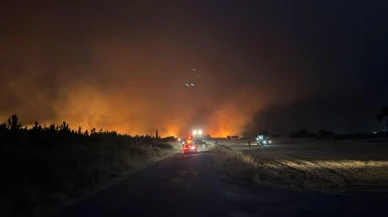 Edirne'nin Enez İlçesinde Orman Yangını Çıktı