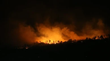 Bursa'da Çıkan Orman Yangını Kısmen Kontrol Altına Alındı
