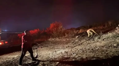 Isparta'da Çıkan Orman Yangını Söndürüldü