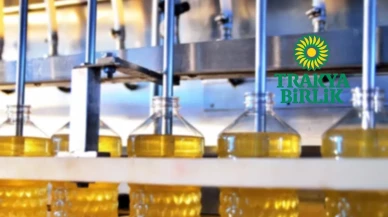 Trakya Birlik Yeni Sezon Ayçiçeği Fiyatını Açıkladı