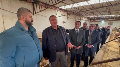 Ömer Fethi Gürer: Et ve Sütte Zor Sürece Giriliyor