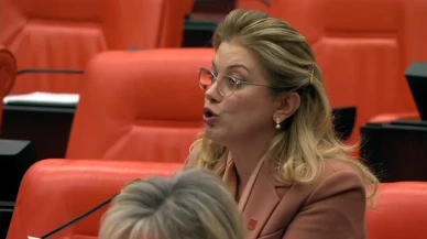 CHP'li Asu Kaya: Söz Değil Somut Önlem İstiyoruz