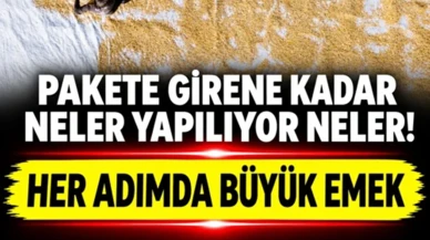 Kayseri'de Kabak Çekirdeğini Kurutma Mesaisi Başladı