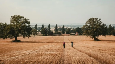 Tarla ve Arsa Satışı 2025'te Rekor Kırdı