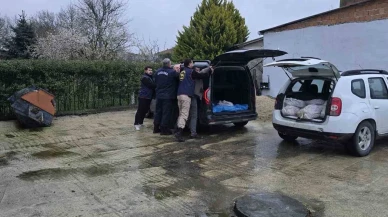 Satılmak Üzere 306 Kilo At Eti Ele Geçirildi