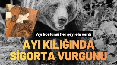 Ayı Kostümünün Altından Dolandırıcılık Çıktı