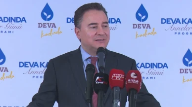 Ali Babacan’dan Anneler Günü Mesajı