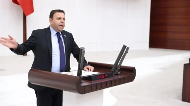 Ediz Ün: Hayvancılık İthalat Sarmalında Can Çekişiyor