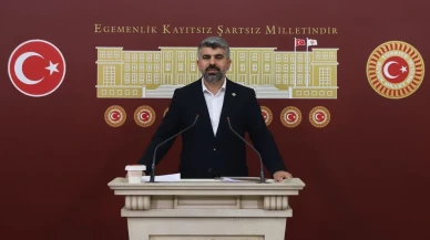 Faruk Dinç Başıboş Köpek Sorununu Meclis’e Taşıdı