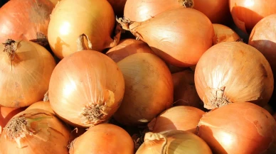Kuru Soğanda Gümrük Vergisi Oranı %5’e Düşürüldü