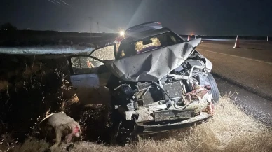 Şanlıurfa'da Otomobilin Koyun Sürüsüne Çarpması Sonucu 3 Kişi Yaralandı