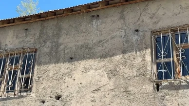 Evin Her Yerinden Fışkırıyorlar