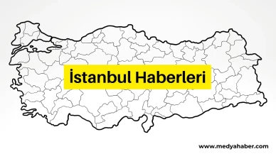 İstanbul'da Viyadük Ayağında Mahsur Kalan Keçi Kurtarıldı