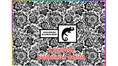 Resimdeki gizli bukalemunu Einstein kadar zeki olanlar bulabiliyor! 1 haftadır bulan çıkmadı 5 saniyede bulursan Einstein'in zekasına sahipsin