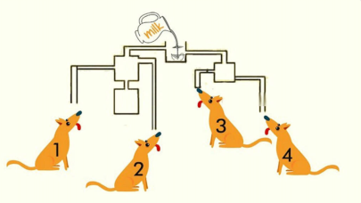Bu testi çözmek için 8 saniyeniz var! Süt içecek köpeği hangisi? Sadece yüksek IQ’lu insanlar biliyor