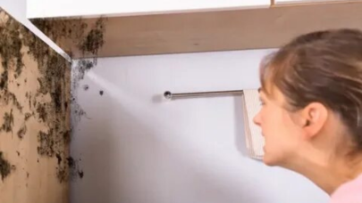 Duvar küflerinden kurutulmanın püf noktaları! Hem görüntüyü hem de sağlığı bozuyor! İşte doğal ve etkili temizlik yöntemleri