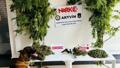 Artvin'de 1 Kilo 151 Gram Esrar Ele Geçirildi