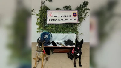 Artvin'de Uyuşturucu Ticareti Yapan 1 Zanlı Tutuklandı