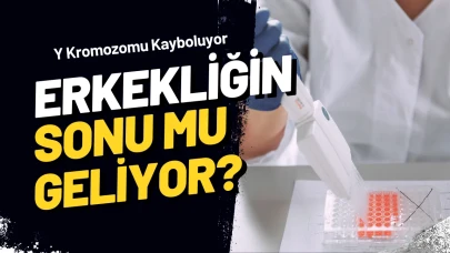 Erkek Cinsiyetini Belirleyen Kromozom Yok Olabilir