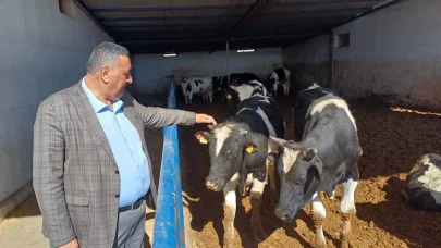 Ömer Fethi Gürer: Kurbanlık Fiyatları Emekli ve Asgari Ücretlinin Gelirini Aştı