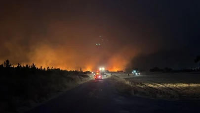 Edirne'nin Enez İlçesinde Orman Yangını Çıktı